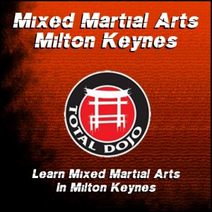 MMA Milton Keynes
